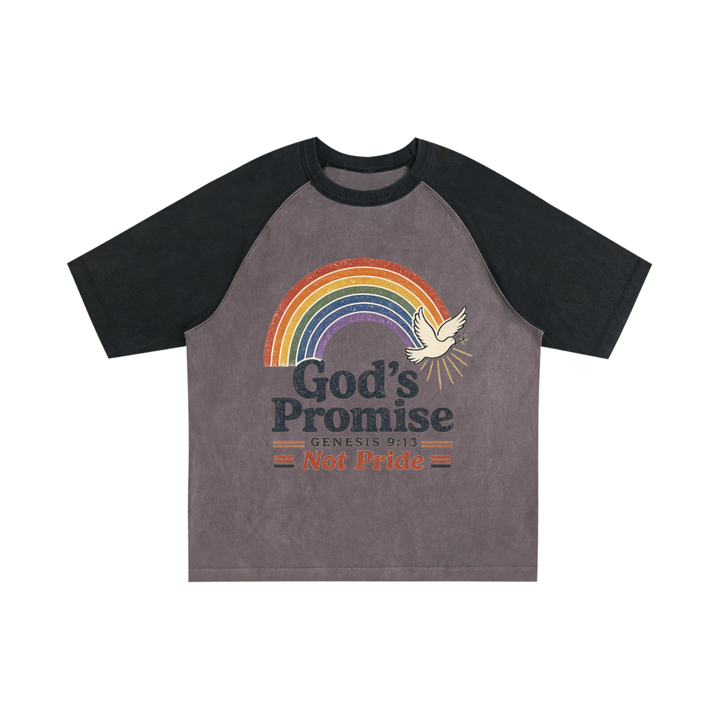 Color-Blocked Raglan Sleeve T-Shirt